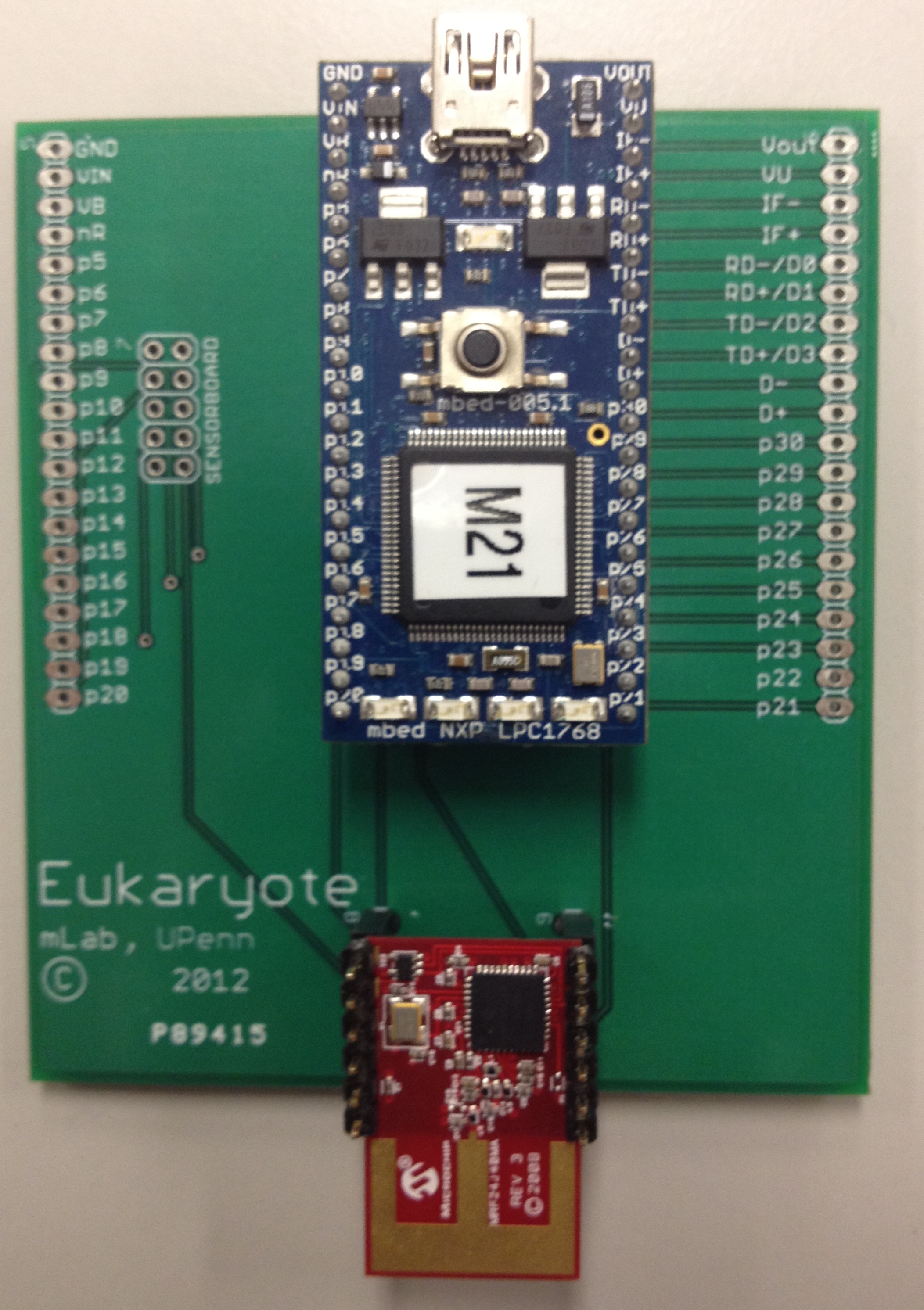 Eukaryote sensor board